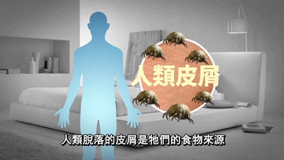 沒蟎家 日本原裝 強力除蟎片_20190424173032.gif