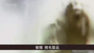 序列 15_1.gif