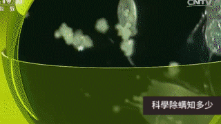 序列 15_10.gif