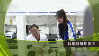 序列 15_6.gif